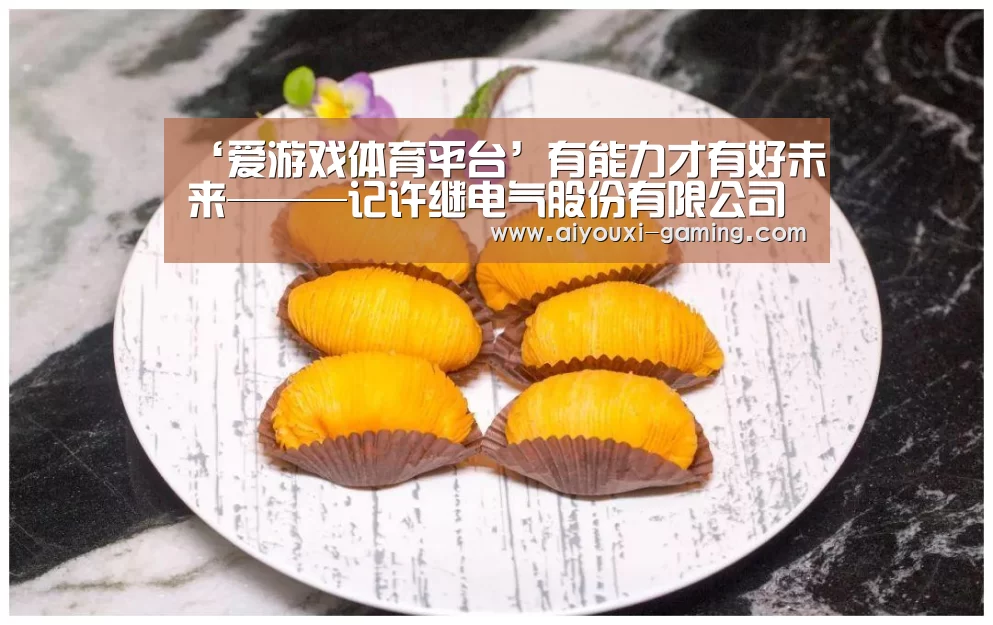 ‘爱游戏体育平台’有能力才有好未来———记许继电气股份有限公司技工学校(图2) 爱游戏娱乐平台