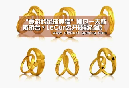 “爱游戏足球竞猜”刚过一天就被拆台?LeCun公开质疑谷歌《Nature》的乳腺癌AI研究成果(图4) 爱游戏足球竞猜